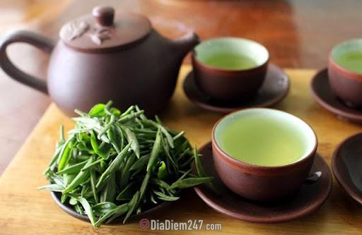 Trà Đinh Thái Nguyên Chính Hãng Giá Gốc - Shin Tea
